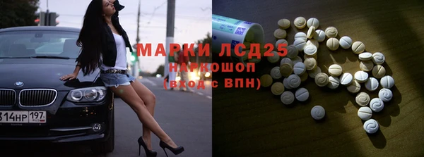 индика Переславль-Залесский