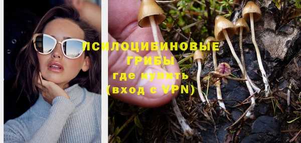 стаф Пересвет