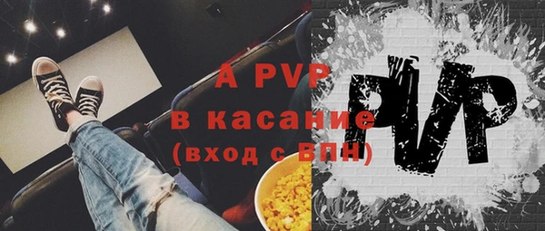 индика Переславль-Залесский