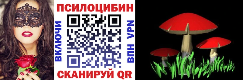 Псилоцибиновые грибы MAGIC MUSHROOMS  Шацк 