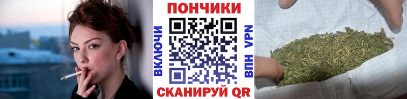 ссылка на мегу ссылки  Шацк  Бошки Шишки THC 21% 